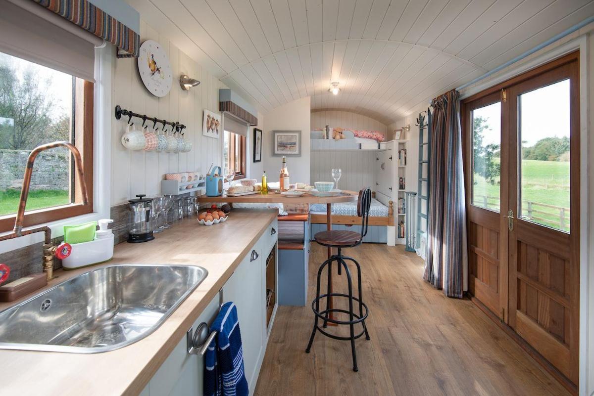 Cow Parsley Shepherd'S Hut Berwick Upon Tweed Kültér fotó