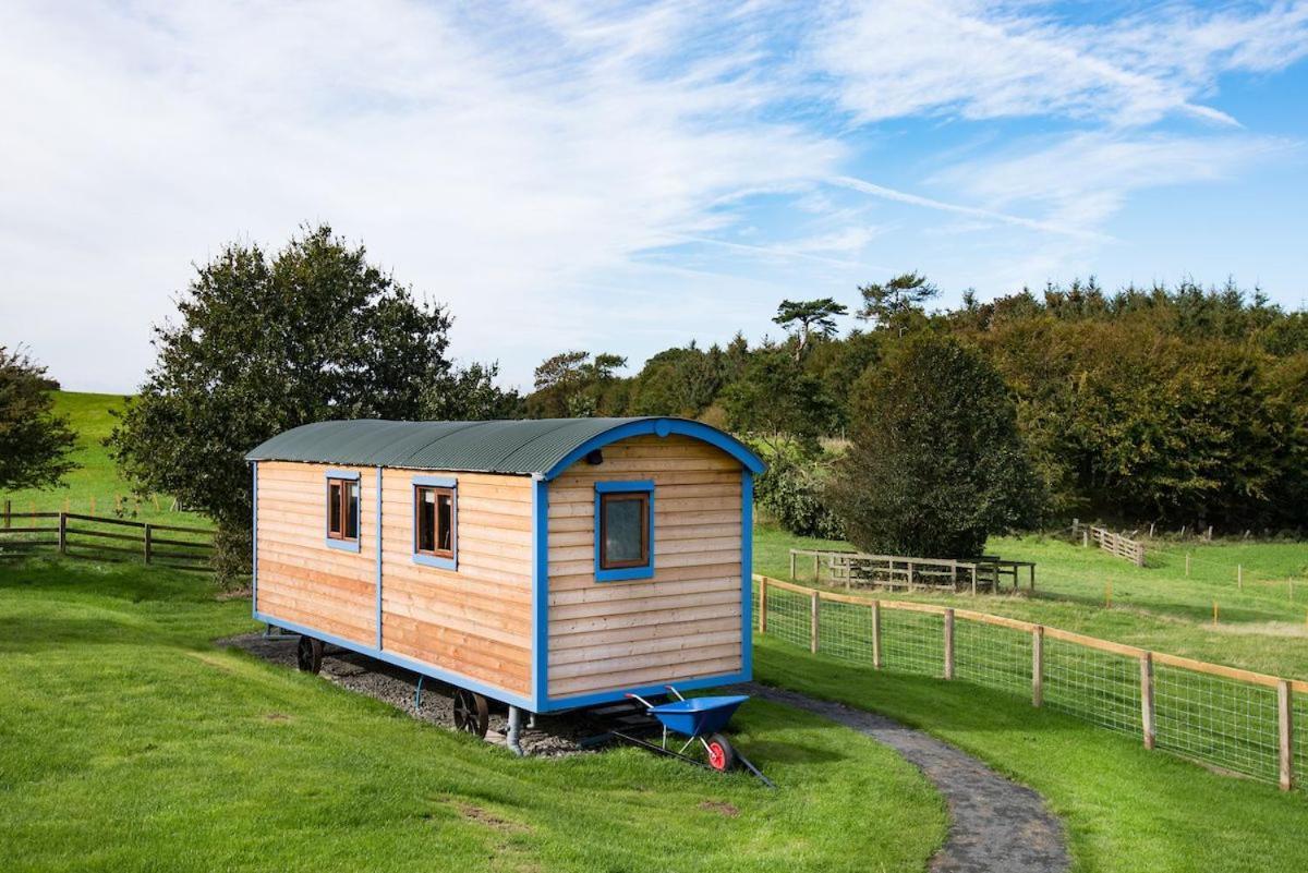 Cow Parsley Shepherd'S Hut Berwick Upon Tweed Kültér fotó