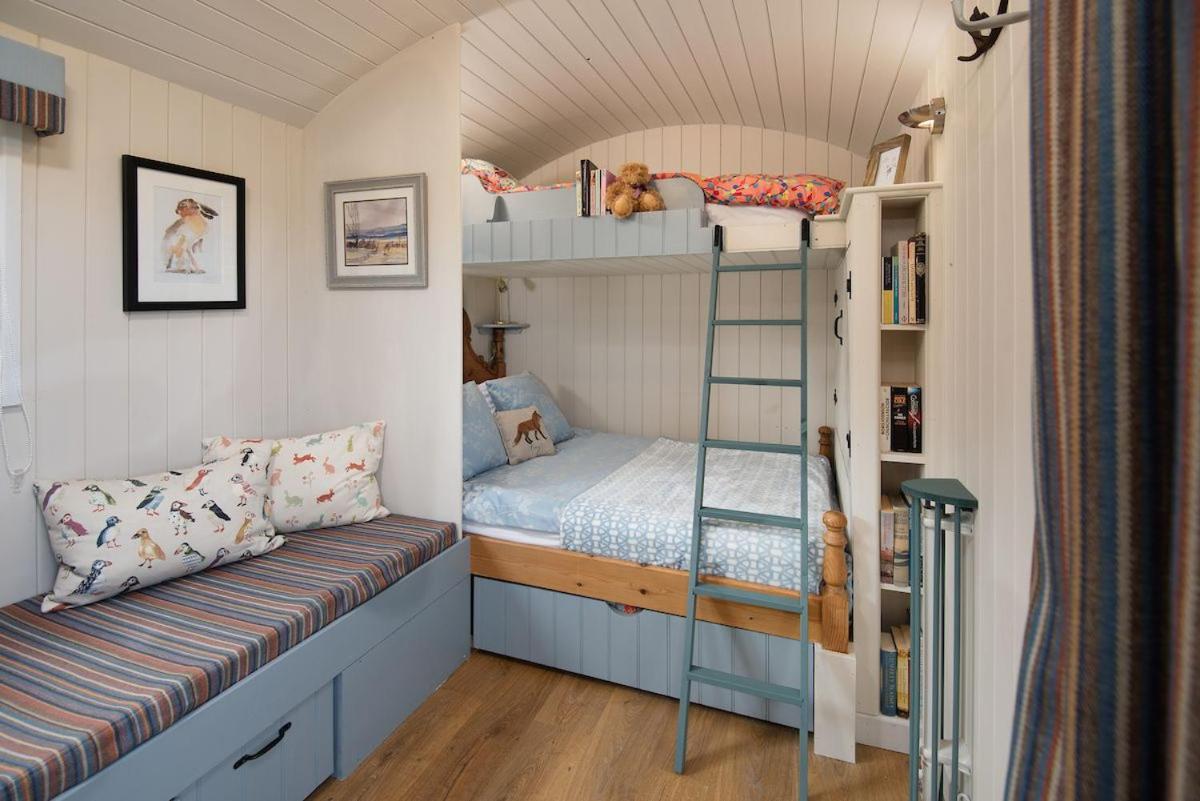 Cow Parsley Shepherd'S Hut Berwick Upon Tweed Kültér fotó