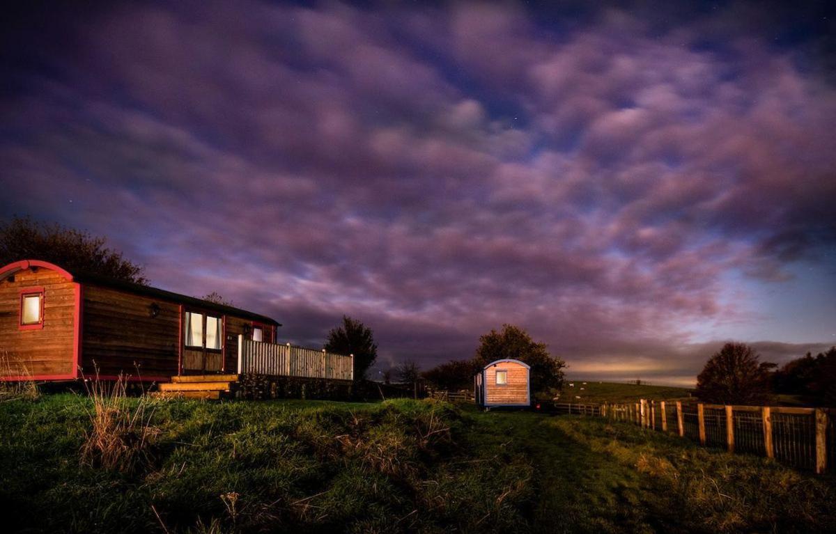 Cow Parsley Shepherd'S Hut Berwick Upon Tweed Kültér fotó